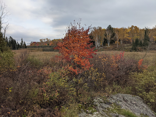 Photo of Laurier Woods Conservation Area - Brule St, North Bay, ON P1A 3Z5